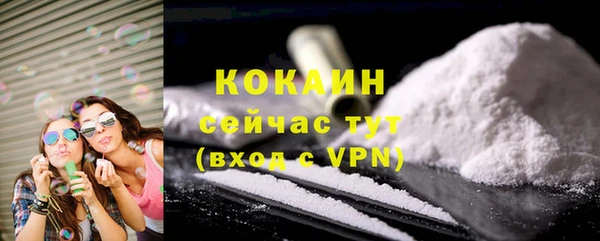 прущие грибы Покачи