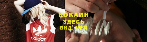 прущие грибы Покачи