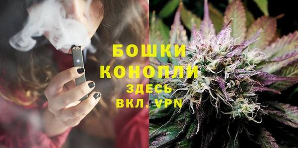 прущие грибы Покачи
