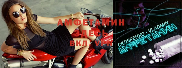 прущие грибы Покачи