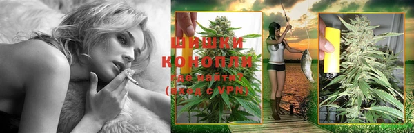 прущие грибы Покачи