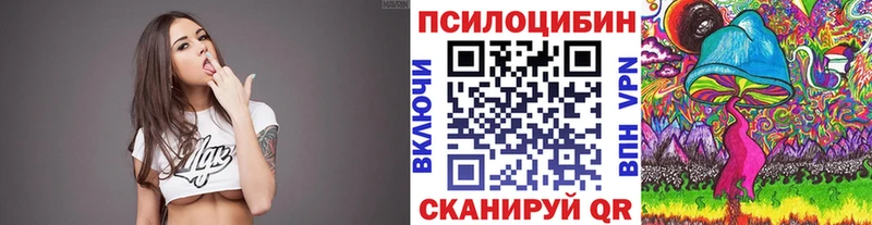 Галлюциногенные грибы Psilocybine cubensis  Купить закладки  Тимашёвск 